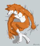  anthro bedding bedding_background belly canid canine canis fur glistening glistening_eyes hi_res leg_markings male mammal markings nyanhan orange_body orange_eyes orange_fur socks_(marking) solo white_belly white_body white_fur wolf 
