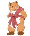  0ottotto0 2016 anthro balls belly blush brown_body brown_fur brown_nose canid canine fox fur genitals kemono male mammal overweight overweight_male penis simple_background solo white_background white_body white_fur 
