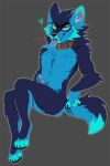  &lt;3 anthro blue_body blue_fur canid canine canis collar digital_media_(artwork) fur genitals hair happy male mammal penis princelykaden riptide_(infoxicated) short_hair simple_background solo tongue tongue_out wolf 