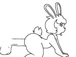  ambiguous_gender ambiguous_penetrated anal anal_penetration animated anthro balls disembodied_penis duo genitals lagomorph leporid loop male male/ambiguous male_penetrating mammal monochrome nude penetration penis rabbit razzybun short_playtime thick_thighs tongue 