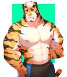  2021 abs anthro biceps bottomwear cilok clothing felid fur hair hi_res male mammal muscular muscular_anthro muscular_male nipples pantherine pecs simple_background solo stripes tiger 