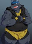  2016 anthro balls_outline black_body black_nose bottomwear bulge canid canine clothing gattatta genital_outline hi_res hoodie humanoid_hands kemono male mammal overweight overweight_male penis_outline shorts simple_background solo topwear 