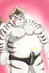  2021 anthro balls_outline belly blush bulge clothed clothing erection erection_under_clothing eyewear felid genital_outline glasses hi_res humanoid_hands kemono licho_(tas) male mammal moobs navel nipples overweight overweight_male pantherine penis_outline simple_background solo tiger tokyo_afterschool_summoners underwear video_games yom_mido_plus 