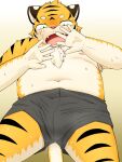  2013 3:4 anthro belly blush bodily_fluids bulge clothing felid gattatta humanoid_hands kemono male mammal navel nipples overweight overweight_male pantherine simple_background solo sweat tiger underwear 