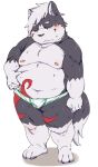  2016 anthro belly blush bulge canid canine canis clothing domestic_dog fur gattatta grey_body grey_fur humanoid_hands kemono male mammal moobs nipples overweight overweight_male simple_background solo underwear white_background white_body white_fur 