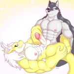  anthro ball canid canine canis darkai dragon duo friend genitals hi_res male male/male mammal muscular nipples penis sex wolf 