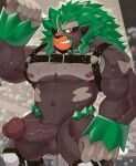  anthro areola balls biped blush bodily_fluids brown_balls brown_body brown_fur brown_penis erection fist fur genitals glans green_hair grin hair harness hi_res humanoid_genitalia humanoid_penis male mammal mostly_nude muscular muscular_anthro muscular_male nintendo nipples orange_eyes pecs penis pok&eacute;mon pok&eacute;mon_(species) primate ratontheraccoon rillaboom smile solo sweat vein video_games 