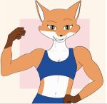  anthro canid canine female fox mammal smile solo workout_clothing 