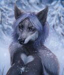  anthro blue_eyes blue_hair breasts bust_portrait canid canine canis clothed clothing facial_piercing female forest fur grey_body grey_fur hair hi_res looking_at_viewer lostgoose madeline_winter mammal nose_piercing outside piercing plant portrait septum_piercing signature snow solo topless tree winter wolf 