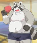  2021 anthro belly black_nose blush bulge clothing cute_fangs fur grey_body grey_fur humanoid_hands inside kemono kota&acute; male mammal moobs navel nipples overweight overweight_male procyonid raccoon solo underwear 