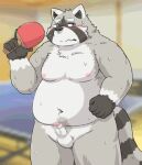  2021 anthro balls belly black_nose blush bodily_fluids censored cute_fangs erection fur genitals grey_body grey_fur humanoid_genitalia humanoid_hands humanoid_penis inside kemono kota&acute; male mammal moobs navel nipples overweight overweight_male penis procyonid raccoon solo sweat 
