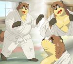  2010 anthro belly black_nose bodily_fluids bottomwear brown_body brown_fur canid canine chuuta_(pixiv) clothing fur humanoid_hands inside keikogi kemono male mammal martial_arts_uniform moobs overweight overweight_male pants raccoon_dog solo sportswear sweat tanuki 