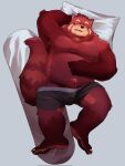  2021 ailurid anthro belly blush bodily_fluids bulge clothing drooling erection eyes_closed eyewear genitals glasses hi_res humanoid_genitalia humanoid_hands humanoid_penis kemono male mammal moobs nipples overweight overweight_male park_kr penis pillow red_body red_panda saliva solo underwear 