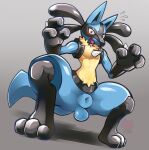  3_fingers 3_toes animal_genitalia anthro balls blue_balls blue_sheath crouching darkluxia feet fingers fully_sheathed genitals looking_at_viewer lucario male nintendo pok&eacute;mon pok&eacute;mon_(species) red_eyes sheath solo surprised_expression toes video_games 