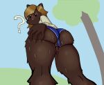  ? animal_humanoid anthro big_butt bloomers blush bodily_fluids bottomwear brown_body brown_fur butt butt_grab chestnut_hair clothed clothing dark_body dark_fur digital_media_(artwork) female fozuna fur genitals hair hand_on_butt humanoid looking_at_viewer mammal open_mouth partially_clothed perspective pussy_slip simple_background solo surprise sweat sweater sweaty_butt topwear triangle_mouth ursid 