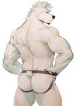  anthro barazoku butt clothing hi_res jockstrap male mammal muscular polar_bear seatohao solo underwear ursid ursine 