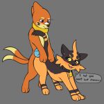  1:1 akihime_the_torracat_(akihime) anthro blush buizel buizel_(mr.smile) collar doggystyle duo female from_behind_position hi_res male male/female mr.smile nintendo pok&eacute;mon pok&eacute;mon_(species) sex torracat video_games 