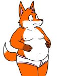  5:6 anthro black_nose briefs brown_body brown_fur canid canine clothing fox foxune fur holding_stomach male mammal moobs navel nipples nishi_oxnard orange_body orange_fur overweight overweight_male pink_body pink_fur simple_background tighty_whities underwear white_background white_body white_briefs white_clothing white_fur white_underwear 