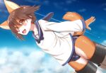  2021 5_fingers anthro blush brown_body brown_eyes brown_fur brown_hair brown_tail canid canine canis clothed clothing cloud cute_fangs domestic_dog female fingers flying fur hair happy hi_res horokusa0519 kemono looking_at_viewer mammal miyafuji_yoshika multi_ear one-piece_swimsuit open_mouth open_smile school_uniform serafuku shiba_inu short_hair sky smile smiling_at_viewer solo spitz strike_witches swimwear tongue uniform white_body white_fur 