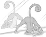  anthro breasts butt female genitals jack-o&#039;_pose mammal mirror monochrome murid nicnak044 nintendo nude pok&eacute;mon pok&eacute;mon_(species) pose pussy rattata rodent sketch solo video_games 