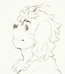  anthro bust_portrait canid canine canis domestic_dog floppy_ears heylaw21 hi_res hisaki_(live-a-hero) lifewonders live-a-hero looking_at_viewer male mammal portrait side_view smile solo video_games 