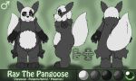  5:3 absurd_res belly black_body black_fur black_sclera darknetic english_text fak&eacute;mon feral fluffy fluffy_tail fur green_eyes grey_body grey_fur hi_res hybrid male model_sheet neck_tuft nintendo pangoose pok&eacute;mon pok&eacute;mon_(species) ray_the_pangoose simple_background slightly_chubby solo standing text tuft video_games white_body white_fur zangoose 