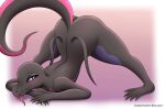  anthro ass_up bedroom_eyes big_butt blush butt claws crouching curvy_figure diamondstorm feet female flat_chested hi_res jack-o&#039;_pose looking_at_viewer narrowed_eyes nintendo nude pok&eacute;mon pok&eacute;mon_(species) pose purple_eyes raised_tail reptile salazzle scalie seductive simple_background solo spread_legs spreading tongue tongue_out video_games wide_hips 