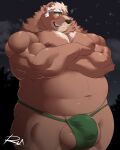  2021 4:5 anthro asian_clothing balls belly black_nose blush bulge clothing east_asian_clothing fundoshi genital_outline genitals goro goro_(live-a-hero) green_clothing green_fundoshi green_underwear hi_res invalid_tag japanese_clothing live-a-hero male mammal moobs navel night nipples outside overweight overweight_male penis_outline reclamon solo underwear ursid video_games 