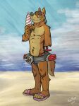  2021 anthro beach blue_sky blue_speedo brown_body brown_fur canid canine canis clothed clothing cute_fangs disney don_karnage food footwear fur grey_background hand_behind_back hi_res ice_cream_cone inflatable inner_tube k-9 looking_at_viewer male mammal multicolored_body multicolored_fur notched_ear outside pink_clothing pink_footwear pink_sandals plantigrade propeller sand sandals sea seaside simple_background sky smile solo speedo standing swimming_goggles swimwear talespin tan_body tan_fur topless two_tone_body two_tone_fur water wolf 