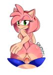  amy_rose anthro breasts butt duo eulipotyphlan faceless_character faceless_male female genitals hedgehog hi_res male male/female mammal penetration penis pussy sega shumpy sonic_the_hedgehog sonic_the_hedgehog_(series) vaginal vaginal_penetration 