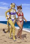  2021 anthro ball beach bikini blonde_hair breasts brown_body brown_fur brown_hair cheetah chest_tuft clothing digital_media_(artwork) duo ear_piercing ear_ring eyebrows eyelashes felid feline female fur green_eyes hair hand_on_shoulder heresy_(artist) hi_res holding_ball holding_object lancer:_the_knights_of_fenris lynx mammal mika_fadeneir navel open_mouth orange_eyes outside piercing priss_kitanova seaside shaded short_hair shoulder_tuft side-tie_bikini smile spots spotted_body spotted_fur swimwear teeth tuft volleyball_(ball) volleyball_net walking webcomic_character white_body white_fur yellow_body yellow_fur 