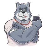  1:1 2021 anthro band-aid bandage canid canine cellphone clothing eyewear glasses hi_res humanoid_hands kemono male mammal peekeroro phone selfie shirt simple_background smartphone solo tongue tongue_out topwear white_background 