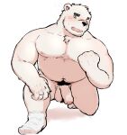  2021 anthro belly black_nose blush flaccid fur genitals hagom hi_res humanoid_genitalia humanoid_hands humanoid_penis kemono male mammal moobs nipples overweight overweight_male penis plantigrade polar_bear pubes simple_background solo ursid ursine white_background white_body white_fur 