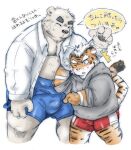  2018 anthro blush bottomwear bulge clothed clothing duo felid fur genital_outline hoodie humanoid_hands japanese_text kemono male male/male mammal open_clothing open_shirt open_topwear overweight overweight_male pantherine penis_outline polar_bear roostax_wilddog shirt shorts text tiger topwear ursid ursine white_body white_fur young 