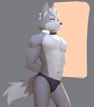  2021 abs anthro bow_tie bulge canid canine canis clothing eye_patch eyebrows eyewear fur grey_background grey_body grey_fur grey_hair hair hands_behind_back hi_res jrjresq male mammal multicolored_body multicolored_fur muscular muscular_anthro muscular_male navel nintendo pecs simple_background solo speedo standing star_fox swimwear tuft two_tone_body two_tone_fur video_games wolf wolf_o&#039;donnell 