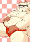  2015 angry anthro aretna asian_clothing belly black_nose canid canine clothing east_asian_clothing fox fundoshi hi_res humanoid_hands japanese_clothing kemono male mammal moobs overweight overweight_male red_clothing red_fundoshi red_underwear solo underwear 
