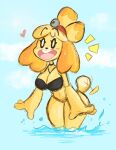  &lt;3 animal_crossing anthro big_breasts bikini black_nose blonde_hair blush blush_stickers breasts buckteeth canid canine canis cleavage clothed clothing colored_sketch curvy_figure dipstick_tail domestic_dog dot_eyes eyebrow_through_hair eyebrows eyelashes female fur hair happy hi_res isabelle_(animal_crossing) kilinah leaning leaning_forward looking_at_viewer mammal multicolored_tail nintendo open_mouth outside shih_tzu sky smile solo standing swimwear tailwag teeth thick_thighs tied_hair toy_dog translucent translucent_hair video_games water wide_hips yellow_body yellow_fur 