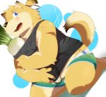 2015 anthro blue_eyes blush brown_body brown_fur canid canine canis clothing domestic_dog food fur hinami humanoid_hands kemono male mammal overweight overweight_anthro overweight_male plant shirt solo topwear underwear vegetable young 