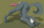  2021 absurd_res animal_genitalia animal_penis anthro balls beastars canid canine canine_penis canis claws genitals hi_res jack-o&#039;_pose legoshi_(beastars) looking_at_viewer male mammal nude penis pose solo weskers wolf 