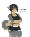  4:5 anthro black_clothing breasts clothing crossed_arms ears_down female fluffy fluffy_tail fur grey_body grey_fur gum_dung_(titania) looking_away meme noxu pivoted_ears red_eyes solo sportswear tan_body tan_fur thick_thighs unamused 