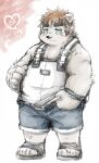  &lt;3 2017 absurd_res anthro belly biped blush bottomwear clothing green_eyes hi_res humanoid_hands kemono male mammal overweight overweight_male roostax_wilddog shirt shorts solo topwear ursid young 