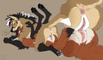  absurd_res anthro anus blush canid canine cheek_tuft claws clitoral_hood clitoris digitigrade dipstick_ears dipstick_tail duo facial_tuft female female/female from_front_position genitals gloves_(marking) hi_res inner_ear_fluff jax_(yeen.queen) karidas_(rexroyale) leg_markings mammal maned_wolf markings mating_press multicolored_ears multicolored_tail neck_tuft nude sex simple_background socks_(marking) toe_claws tribadism tuft vaginal zalasly 