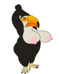  4:5 anthro areola avian big_breasts big_butt bird breasts butt continuity_(artist) digital_drawing_(artwork) digital_media_(artwork) female grima hi_res huge_breasts mature_anthro mature_female nipples non-mammal_breasts nude solo toucan 