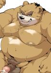  2021 absurd_res anthro balls belly bodily_fluids brown_body censored cum genital_fluids genitals hi_res humanoid_genitalia humanoid_hands humanoid_penis kemono male mammal moobs nipples overweight overweight_male penis sigenoya solo takotyutyu ursid 