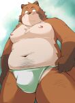 2013 anthro ayame42612 belly big_belly blush brown_body brown_fur bulge canid canine fur humanoid_hands kemono male mammal moobs navel nipples overweight overweight_male raccoon_dog solo tanuki 