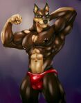  5_fingers abs anthro balls_outline biceps big_bulge big_muscles bleakcat brown_body brown_fur bulge canid canine canis chin_piercing clothed clothing dobermann domestic_dog ear_piercing eyebrow_piercing facial_piercing fangs fingernails fingers fist fur genital_outline green_eyes male mammal muscular muscular_anthro muscular_male muscular_thighs nails navel nipple_piercing nipples nose_piercing pecs piercing pinscher pose quads sheath_outline simple_background smile solo speedo swimwear tan_body tan_fur teeth thick_thighs underwear underwear_only whisker_spots 