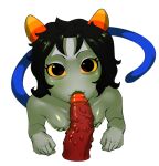  alien alpha_channel bikupan disembodied_penis duo fellatio female first_person_view genitals homestuck humanoid kissing looking_at_viewer male male/female ms_paint_adventures nepeta_leijon oral penile penis penis_kissing sex solo_focus troll_(homestuck) webcomic 