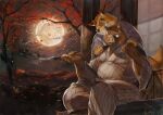  2012 autumn brown_body brown_fur canid canine clothing detailed_background duo fox fur humanoid_hands kijimaru male male/male mammal moon night outside overweight overweight_male robe sitting suid suina sus_(pig) wild_boar 