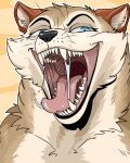  4:5 absurd_res blue_eyes bodily_fluids canid canine drooling fur gluttony_(changing_fates) hi_res imperatorcaesar mammal mouth_shot multicolored_body multicolored_fur open_mouth saliva sharp_teeth solo teeth tongue tongue_out 