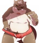  2013 angry anthro belly blush brown_body brown_fur brown_nose bulge canid canine canis clothing domestic_dog fur hinami humanoid_hands kemono male mammal overweight overweight_male pubes simple_background solo underwear white_background 